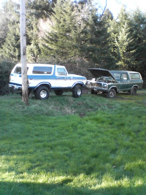 1978 Ford Bronco photo