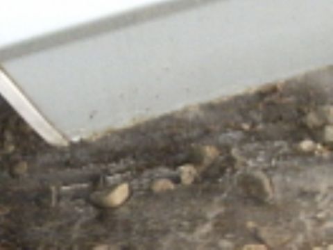 1991 Ford LTD Crown Victoria - A close-up view of the undercarriage of a vehicle, showing dirt and debris.