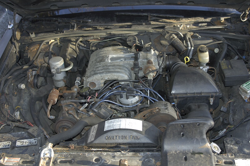 Dusty fuel-injected Ford V8 engine bay with CAUTION FAN shroud and blue plug wires