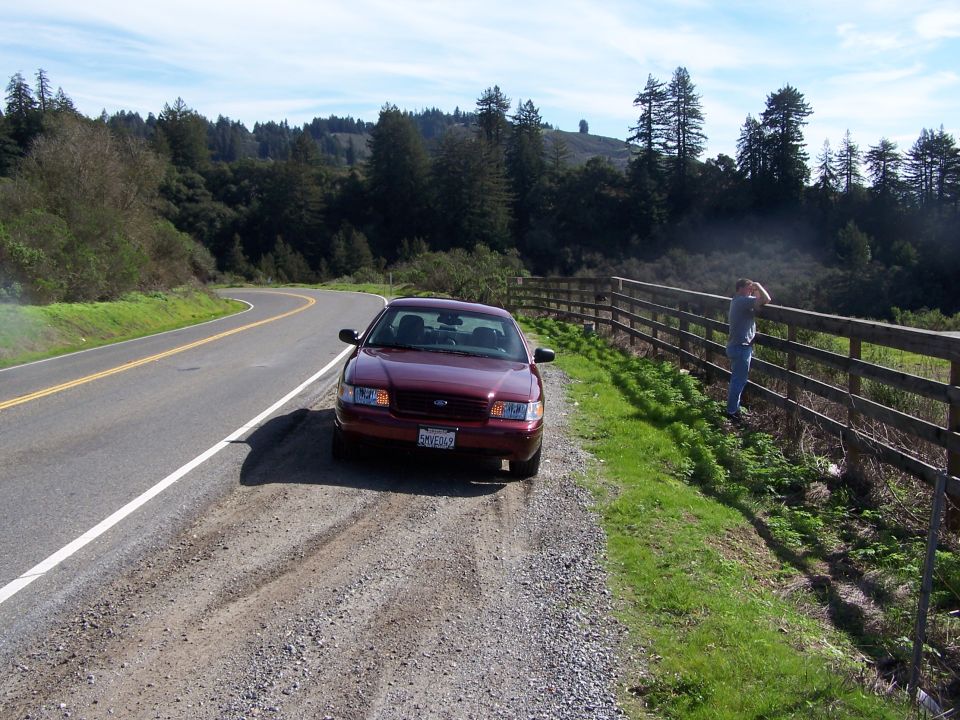 2005 Ford Crown Victoria “Torreador LX Sport”