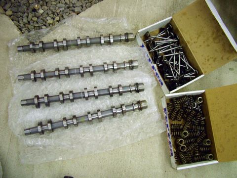 2003 Ford Mustang - Engine internal parts including camshafts, valves, and valve springs are laid out.