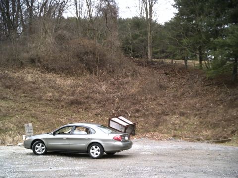 2001 Ford Taurus photo