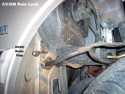 1994 Ford Crown Victoria - This is a common problem for all '92-98 Panthers. Water draining from the A/C system runs out under the rubber flap & then back inside the…