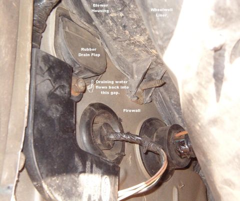 1994 Ford Crown Victoria - To fix the leak, remove the RF wheel & peel the wheelwell liner forward. Clean & dry the area under the drain.