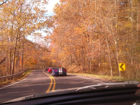 1994 Ford Probe - Several convertibles drive down a road surrounded by trees in fall foliage.