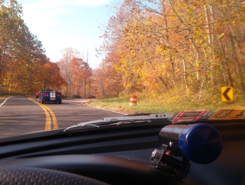 1994 Ford Probe - A group of cars drive down a road lined with colorful autumn trees.