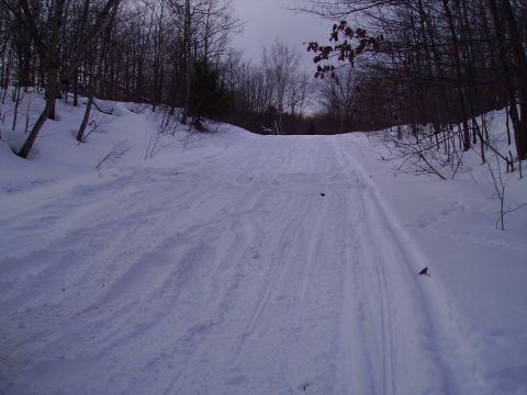 2000 Chevrolet Tahoe - A snowy path winds through a forest, showing tracks from a vehicle that has passed.
