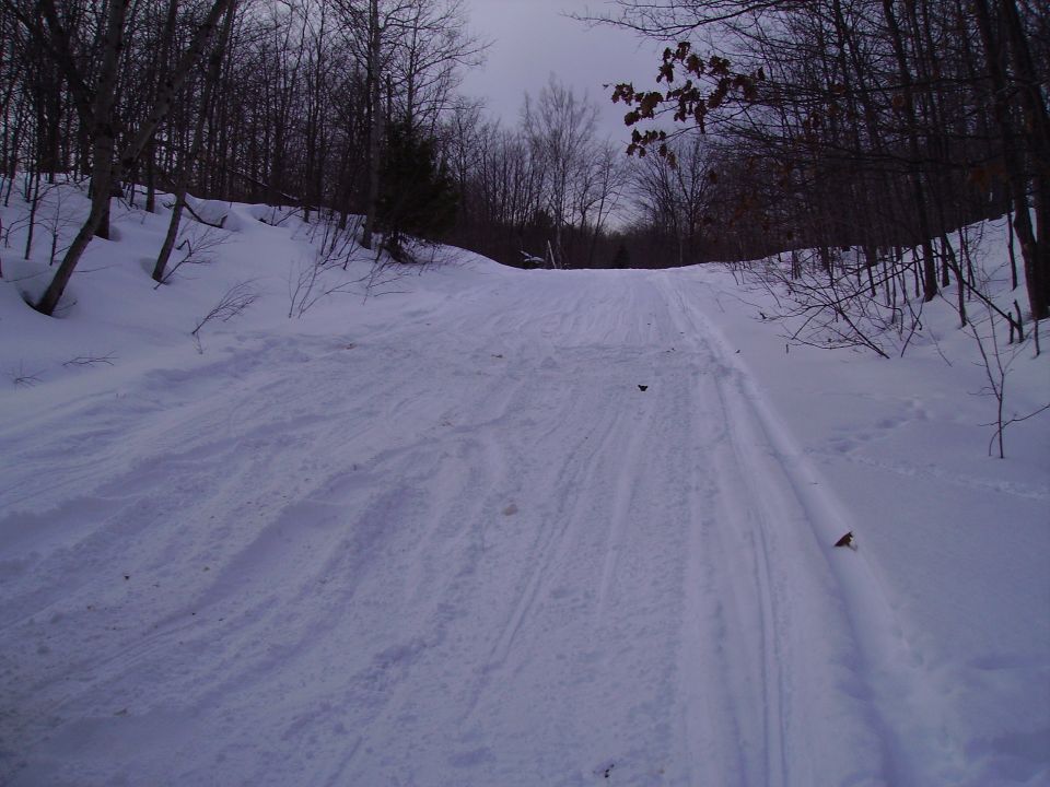 Snowy path with tire tracks leading uphill through a bare-branched forest under an overcast sky