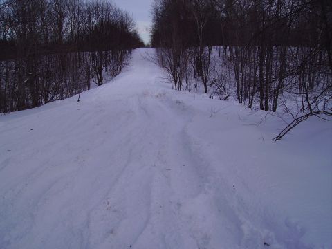 2000 Chevrolet Tahoe - A snow-covered road winds through a dense forest of bare trees under an overcast sky.