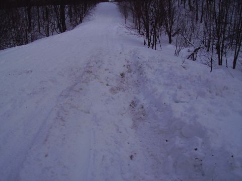 2000 Chevrolet Tahoe - A snowy road shows tire tracks leading uphill through a wooded area, with the Supermotors.net logo in the corner.