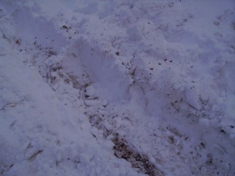 2000 Chevrolet Tahoe - Tire tracks are visible in the snow, indicating recent vehicle passage.