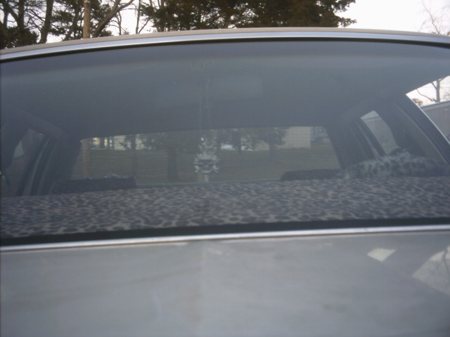 Rear window and roofline of a car with a leopard-print rear seat cover visible inside