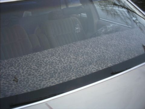 1985 Ford Crown Victoria LTD - The rear interior of a car, a leopard print fabric on the rear deck and plush seats.