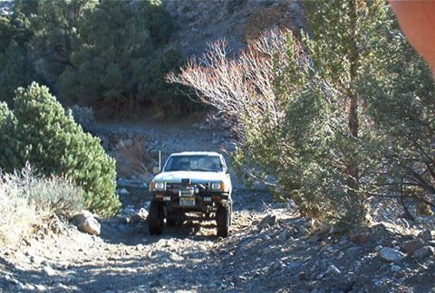 1986 Ford Bronco - A white SUV navigates a , rocky path through a dry, wooded area.