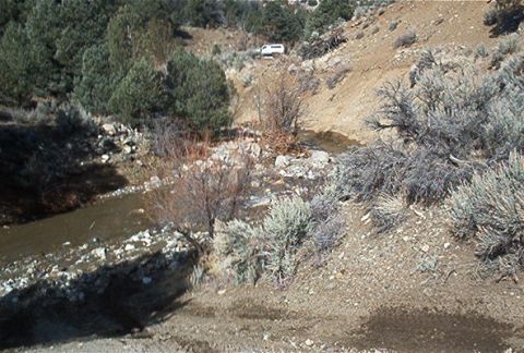 1986 Ford Bronco - A white SUV is parked on a dirt road in a dry, hilly landscape with sparse vegetation.