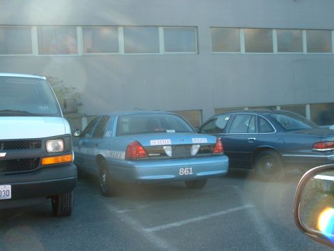 1999 Ford Crown Victoria - A blue police car is parked next to a white van and a dark blue sedan.