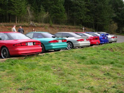 1996 Ford Probe - A line of Ford Probes, including a red 1996 model, are parked in a row next to a wooded area.