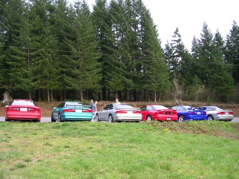 1996 Ford Probe - A group of 1996 Ford Probes are lined up on the side of the road next to a dense forest.