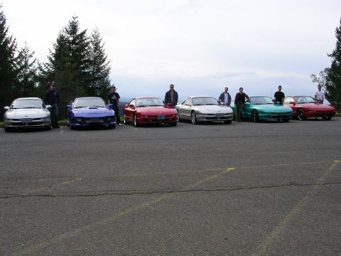 1996 Ford Probe - A collection of Ford Probe cars are lined up in a parking lot with a backdrop of trees and a cloudy sky.