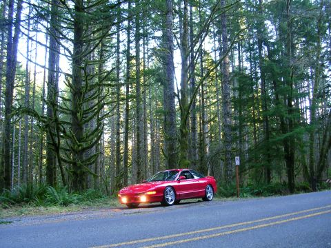 1996 Ford Probe - A red sports car sits parked on the shoulder of a road, surrounded by tall trees and lush greenery.