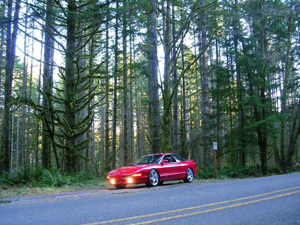 Red sports car parked on the side of a road in a forest