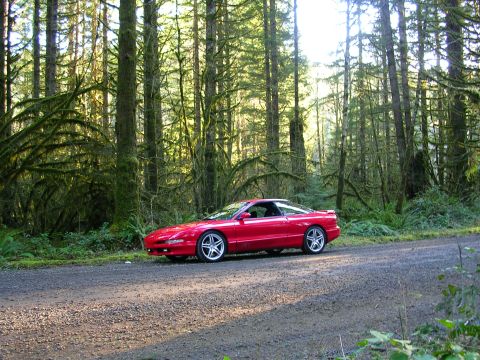 1996 Ford Probe - Red 1996 Ford Probe parked on a gravel road surrounded by a dense forest.