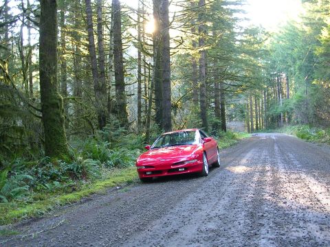 1996 Ford Probe - A red coupe sits on a dirt road surrounded by lush green trees and ferns.