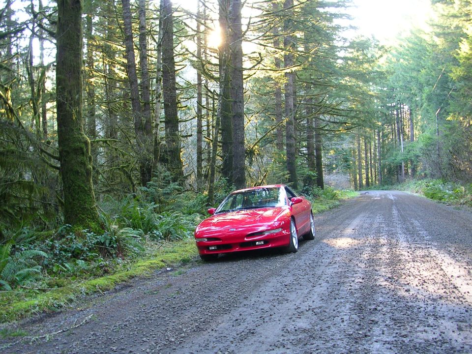 Red Ford Probe coupe parked on a gravel road in a mossy evergreen forest