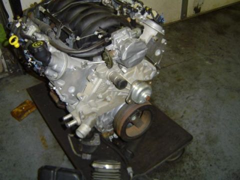 1979 Ford Bronco - Engine assembly on a stand, viewed from the side, with various components visible.
