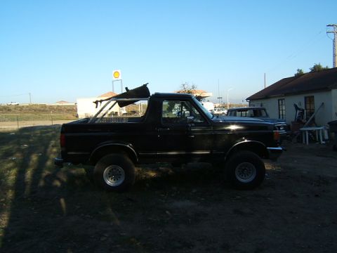 1988 Ford Bronco - Side view of a black 1988 Ford Bronco, equipped with a roll bar in the cargo area.
