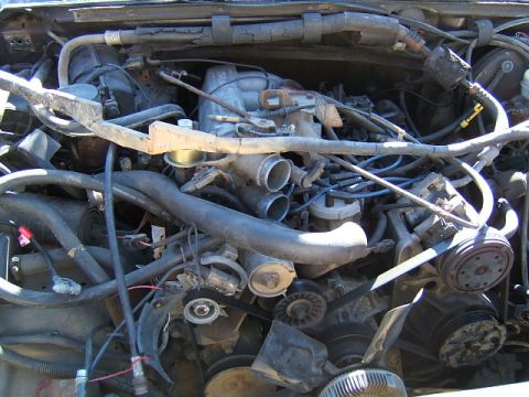 1988 Ford Bronco - Close-up view of a vehicle's engine bay, showing various hoses, belts, and engine components.
