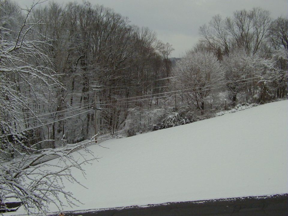 Snow-covered hill and trees under a cloudy sky, with power lines crossing the scene