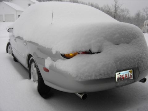 1999 Ford Taurus - Car buried in snow during winter, only rear details like taillight and license plate are visible.