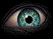 1991 Ford Bronco - Human eye detail, showing iris and pupil in sharp focus against a dark background.