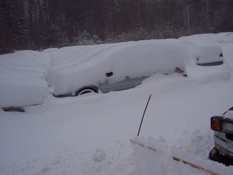 2001 Ford Crown Victoria - Multiple vehicles are completely covered in a thick blanket of snow, indicating a severe winter storm.