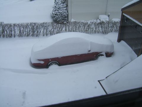 1998 Ford Taurus - A red sedan is completely buried in snow, with only its side profile visible.