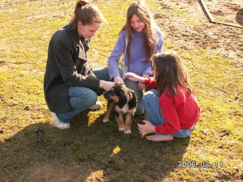 1991 Ford Explorer - A group of girls interact with a puppy in a sunlit, grassy area, with a date and website watermark visible.