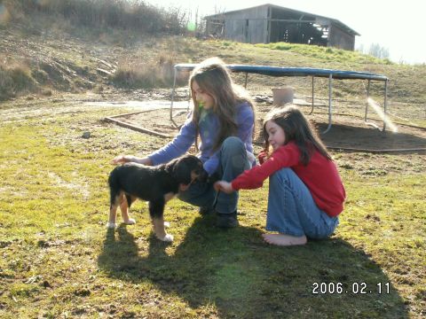 1991 Ford Explorer - A puppy interacts with two young girls in a rural outdoor setting.