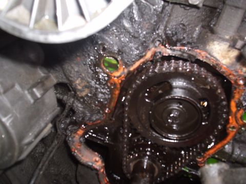 1989 Ford Bronco - Close-up of engine timing chain and gears, showing oil and gasket residue.