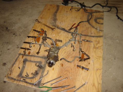 1992 Ford Bronco - Engine parts, including a diesel injection pump and injectors, are arranged on a piece of plywood with various tools.