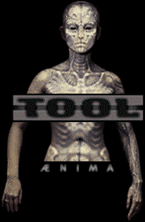 1991 Ford Bronco - An anatomical illustration of a human torso is shown with the words TOOL ANIMA superimposed.