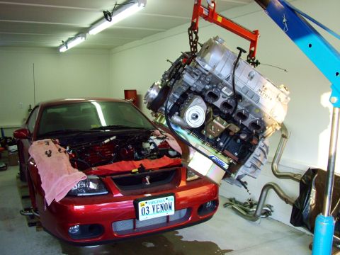Red 2003 Ford Mustang with hood open, engine being lifted out by a crane, Virginia license plate reads '03 VENOM'