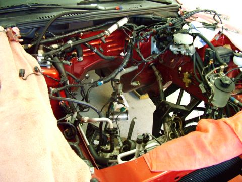 2003 Ford Mustang - The engine bay of a vehicle is shown with extensive wiring and plumbing exposed, suggesting maintenance or repair work.