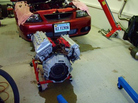 2003 Ford Mustang - The engine has been removed from a 2003 Ford Mustang and is resting on an engine stand in a workshop.