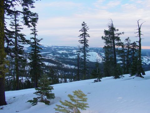 1986 Ford Bronco - A vast winter landscape unfolds with snow-covered hills and evergreen trees under a pale sky.