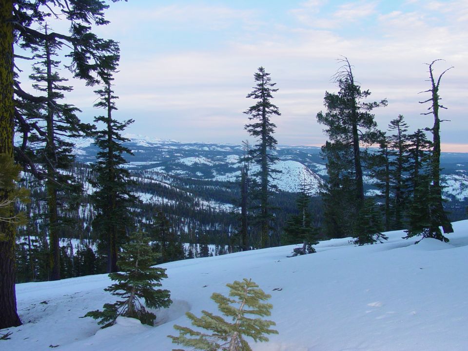 Snowy mountain landscape with pine trees and a distant hill