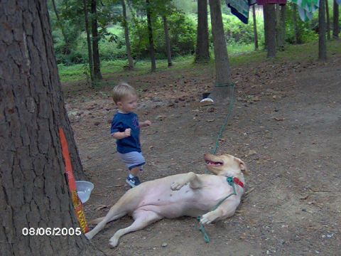 1996 Ford Mustang - A dog rests on its back while a child stands nearby in a wooded outdoor setting.