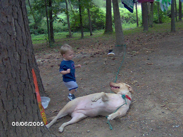 Dog lying on its back with a child standing nearby, outdoors