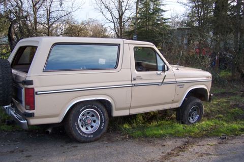 1985 Ford Bronco - = STUCK !