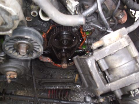 1989 Ford Bronco - Engine compartment shows a leaking water pump and timing chain assembly, indicating a potential mechanical issue.